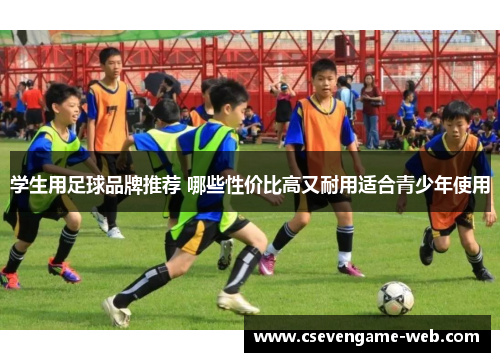 学生用足球品牌推荐 哪些性价比高又耐用适合青少年使用 学生用足球品牌推荐 哪些性价比高又耐用适合青少年使用