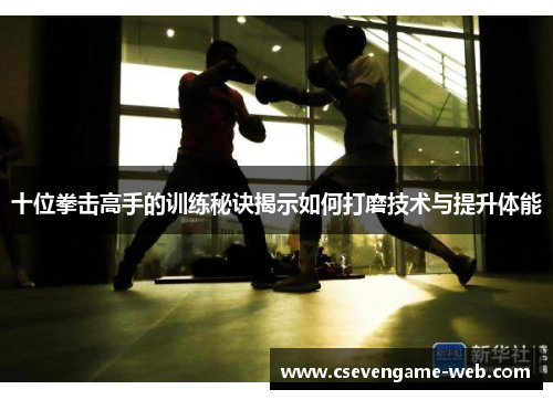 十位拳击高手的训练秘诀揭示如何打磨技术与提升体能 十位拳击高手的训练秘诀揭示如何打磨技术与提升体能