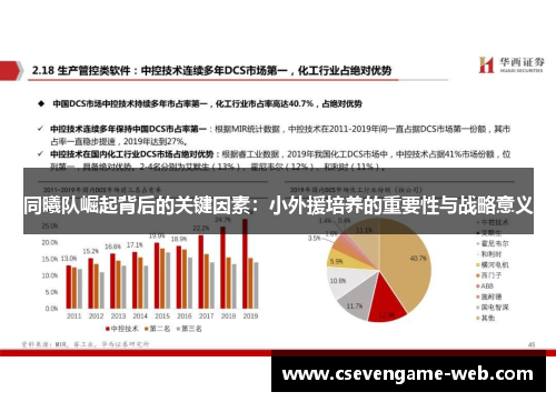 同曦队崛起背后的关键因素:小外援培养的重要性与战略意义 同曦队崛起背后的关键因素:小外援培养的重要性与战略意义