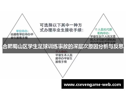 合肥蜀山区学生足球训练事故的深层次原因分析与反思