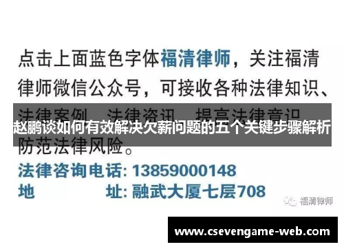 赵鹏谈如何有效解决欠薪问题的五个关键步骤解析