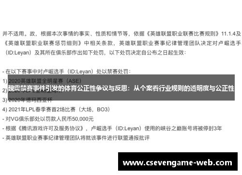 魏震禁赛事件引发的体育公正性争议与反思：从个案看行业规则的透明度与公正性