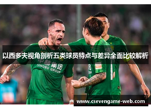 以西多夫视角剖析五类球员特点与差异全面比较解析