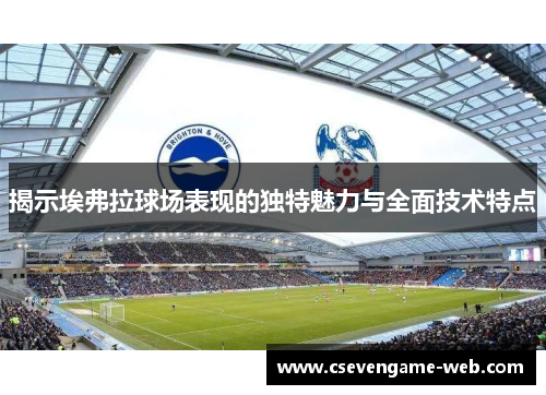 揭示埃弗拉球场表现的独特魅力与全面技术特点